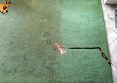 Hĺbkové tepovanie kobercov Bratislava, vytepovaný koberec vz. špinavý koberec